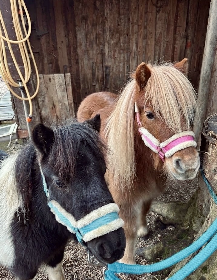 Lili & Čaki (Chaki)