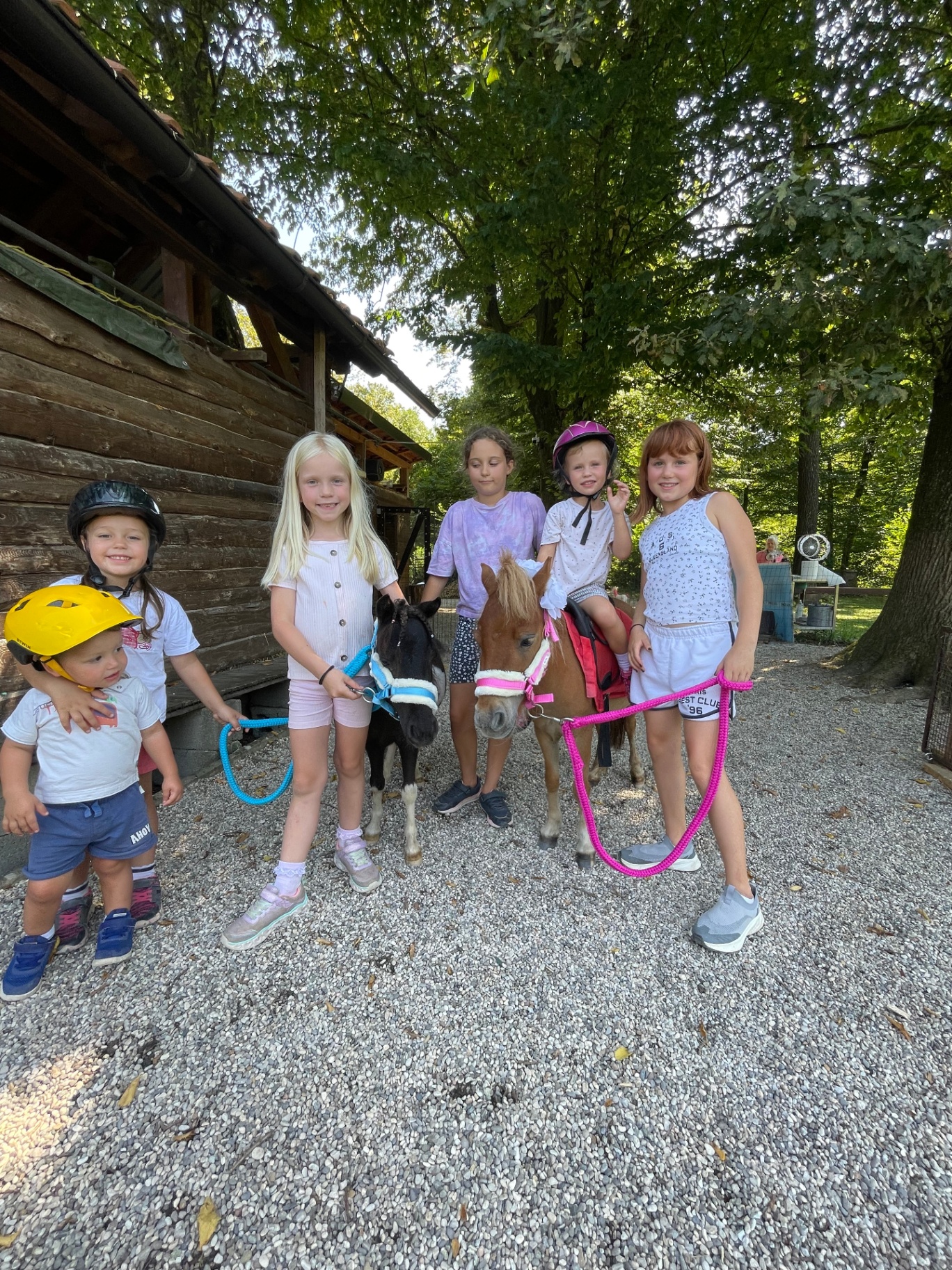 Skupina otrok z mini ponijema pred lesenim objektom na ranču