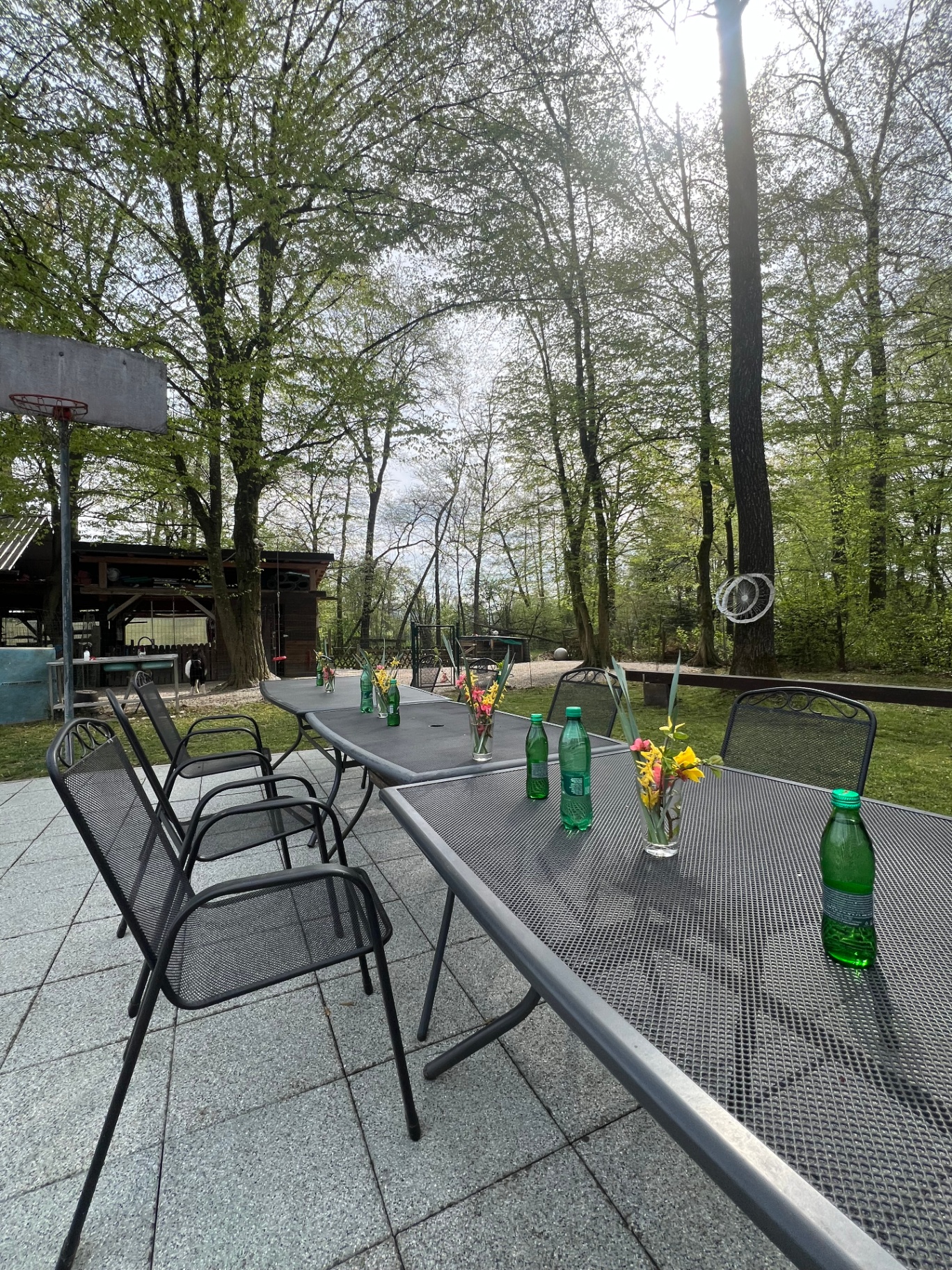 Praznično urejena miza z dekoracijo in osvežitvijo